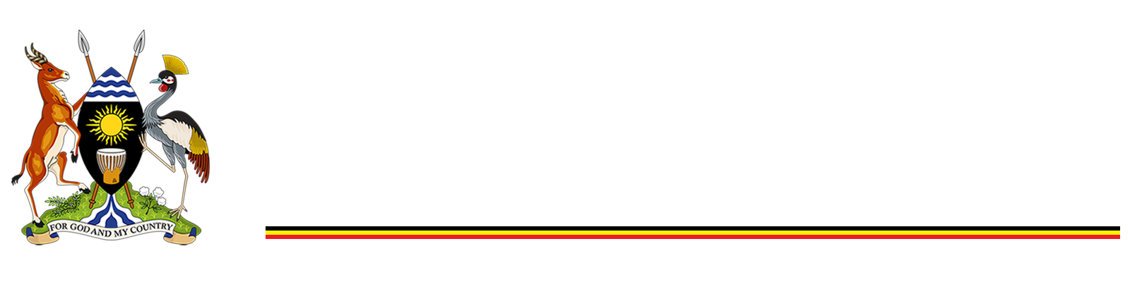 Ministry of ICT & National Guidance